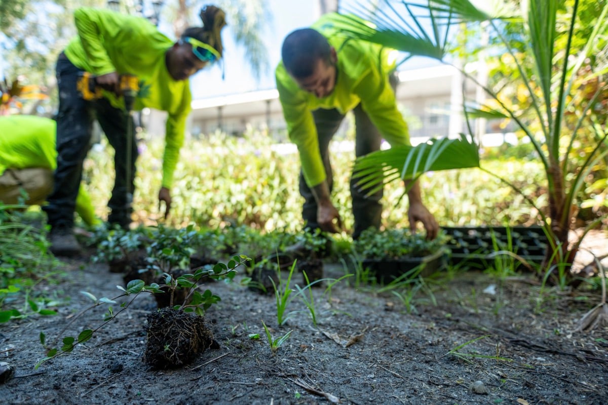 Crew maintenace landscape 16