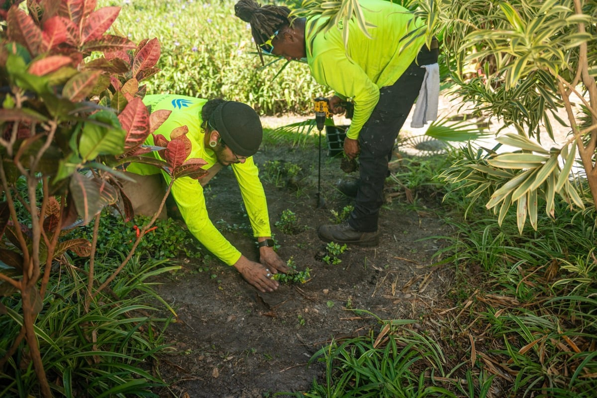 Crew maintenace landscape 18