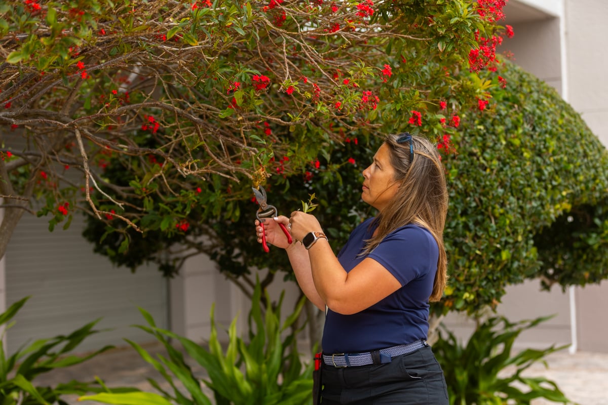 account manager inspection pruning shrub tree 4