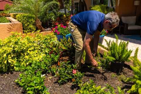 crew picking weeds landscape bed 