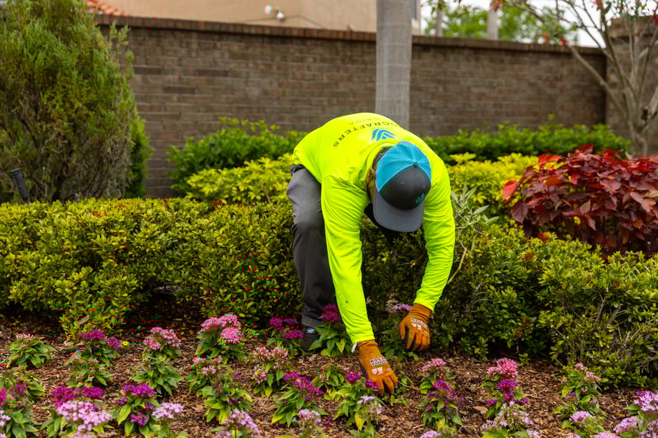 crew annual flower bed inspection 2