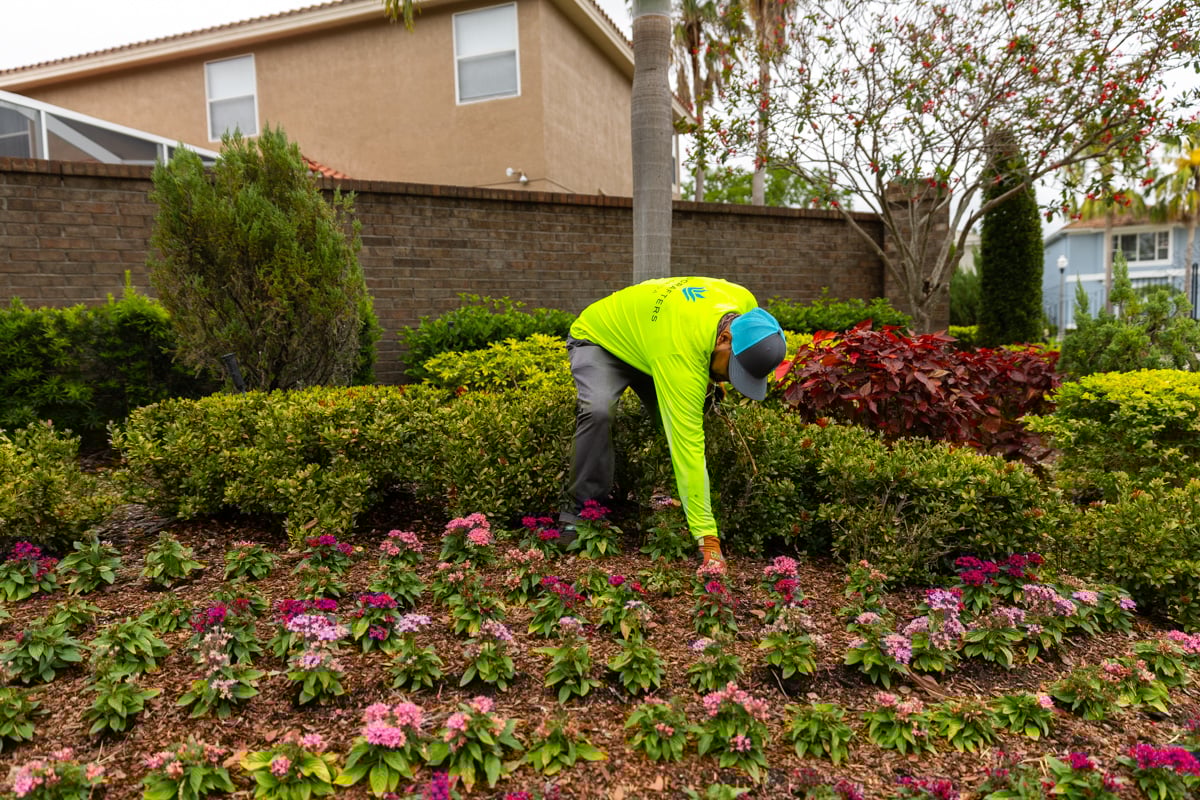 crew annual flower bed inspection