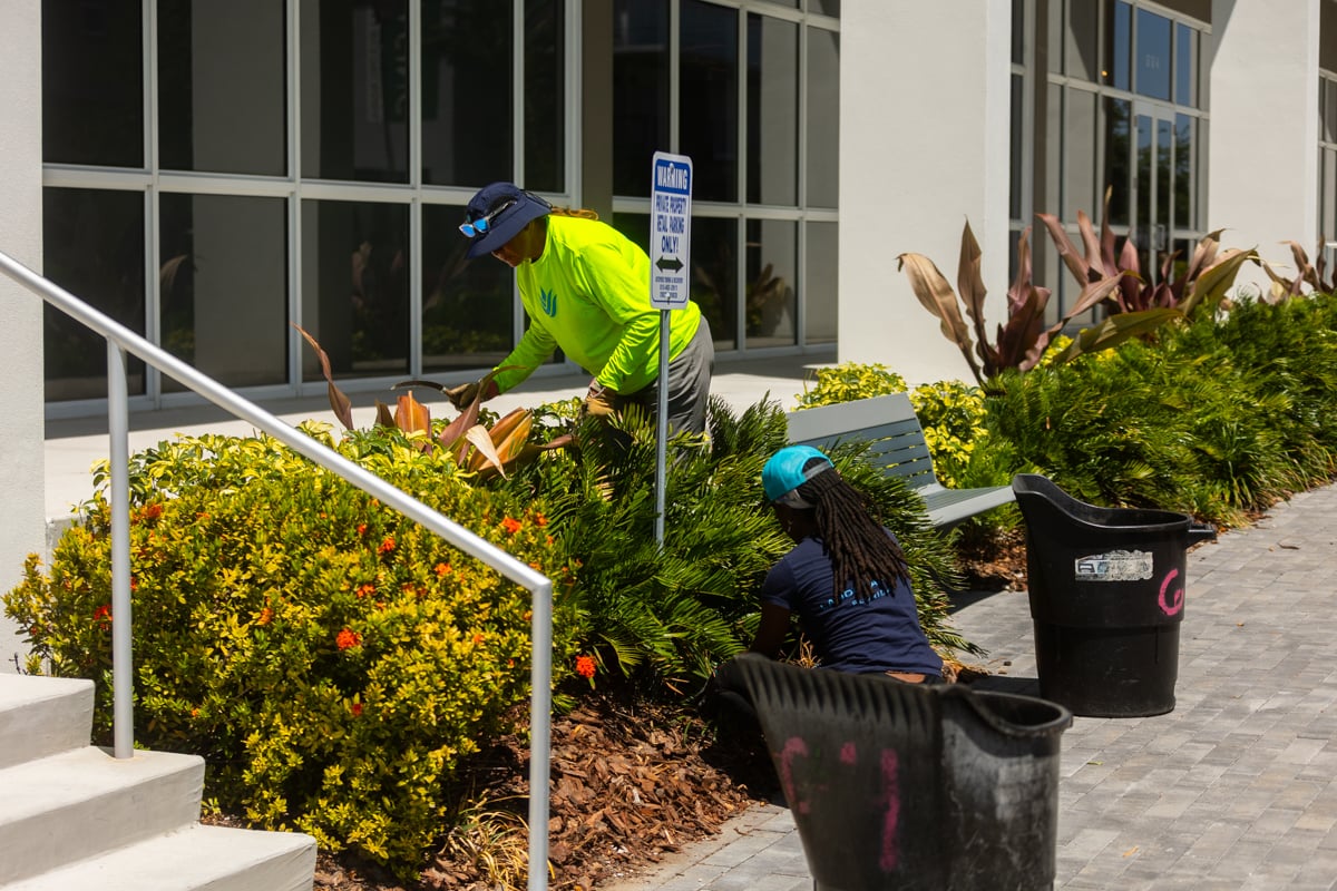 crew pruning dead head inspection planting bed shrubs 3
