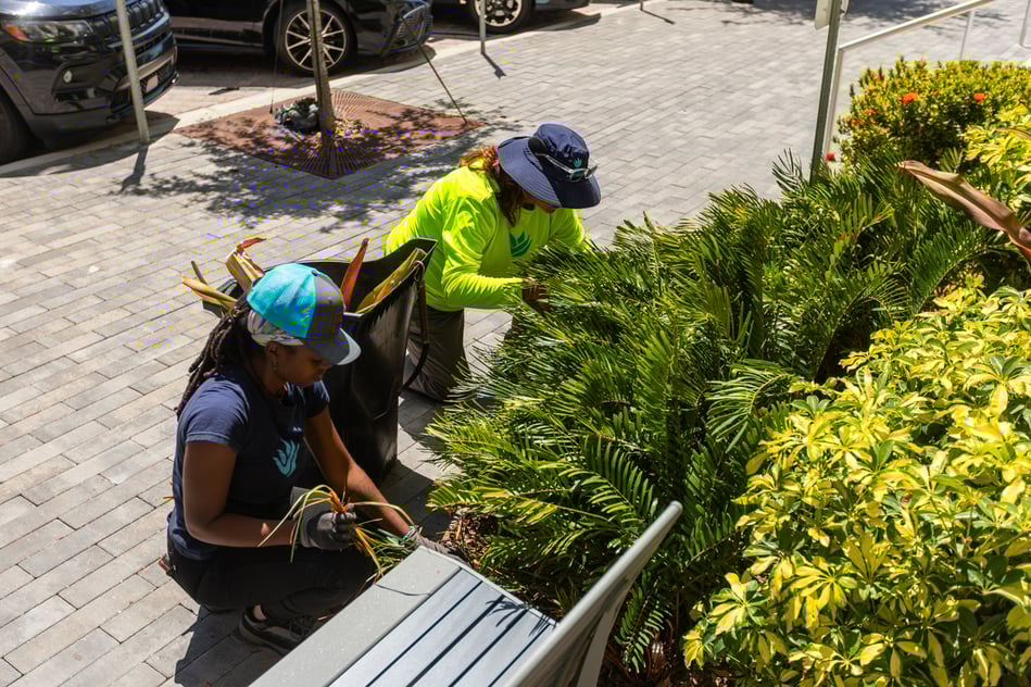 crew pruning dead head inspection planting bed shrubs 7