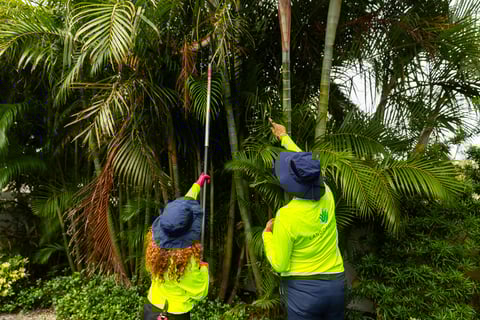 crew pruning 