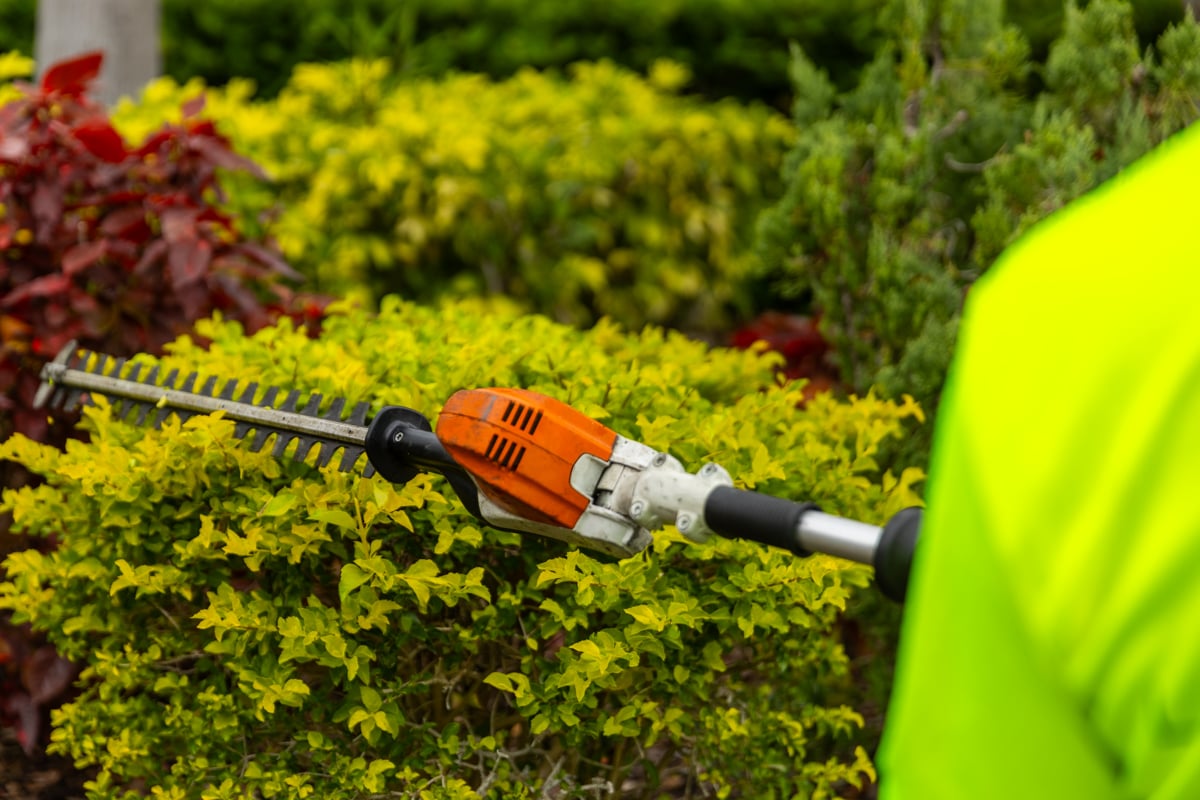 detail crew shear trimming shrub maintenance