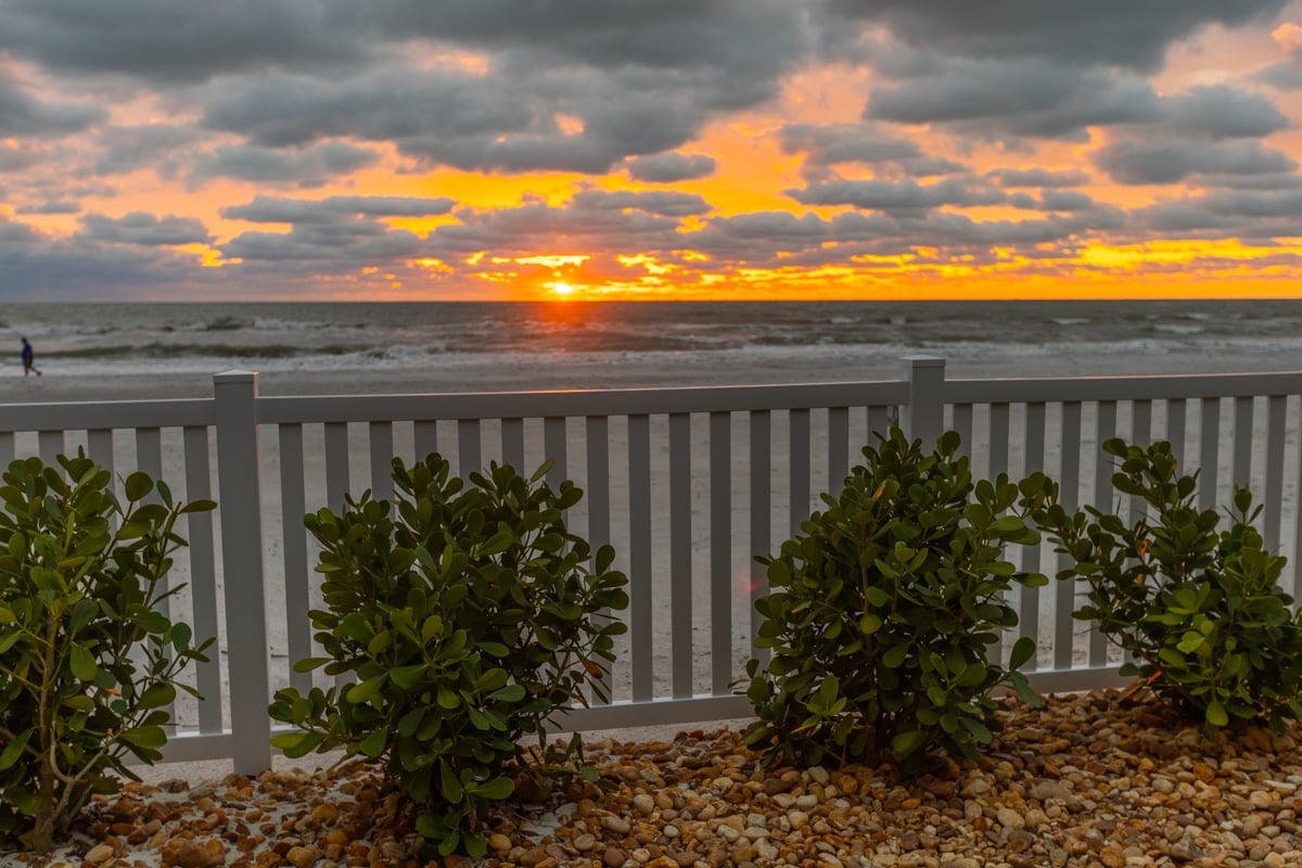 fence shrubs gravel water beach sunset