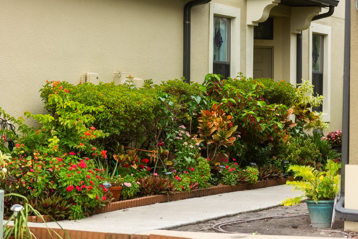 flower bed plants brick edging home shrubs 2