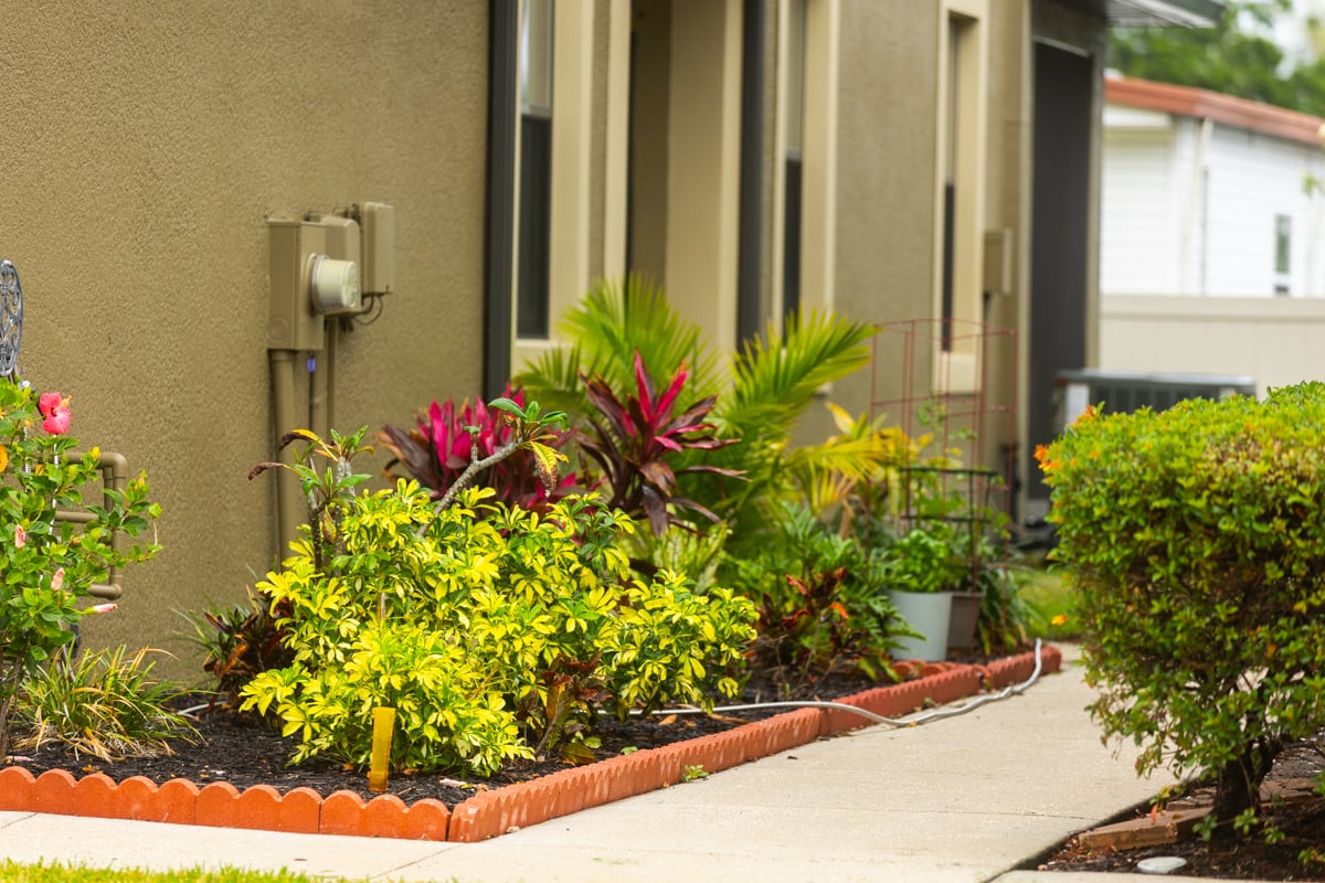 flower bed plants brick edging home shrubs