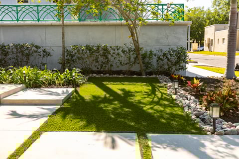 grass nice walk gravel lighting shrbus tree shade bed