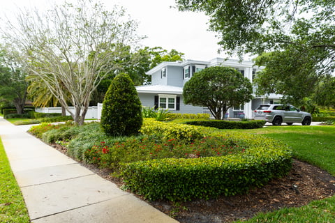 home shrub plant bed tree sidewalk