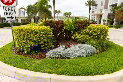 island planting bed shrubs flowers grass signs street commercial