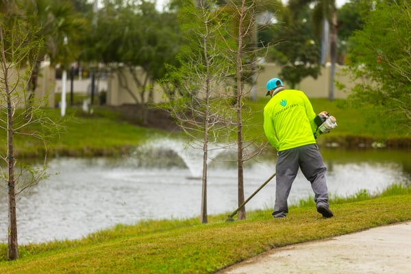 line trimmer sidewalk retention pond commercial crew 2