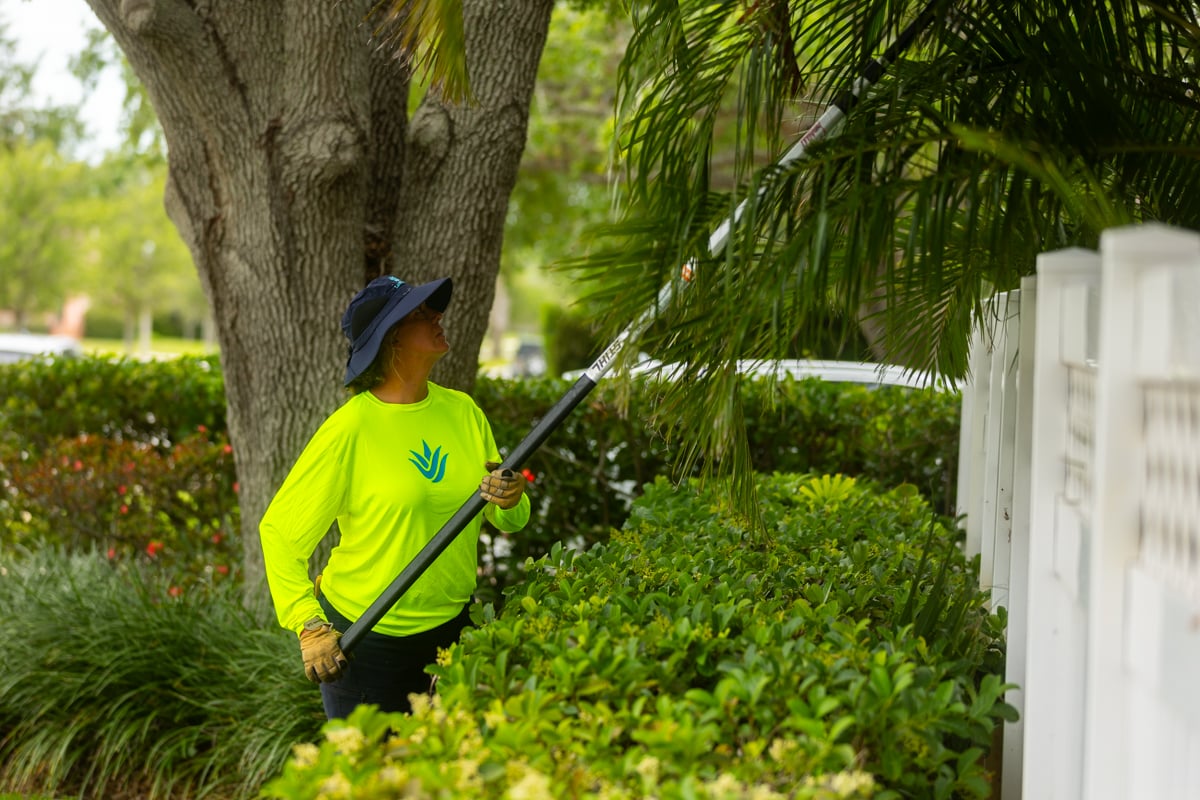 maintenance crew trimming 4