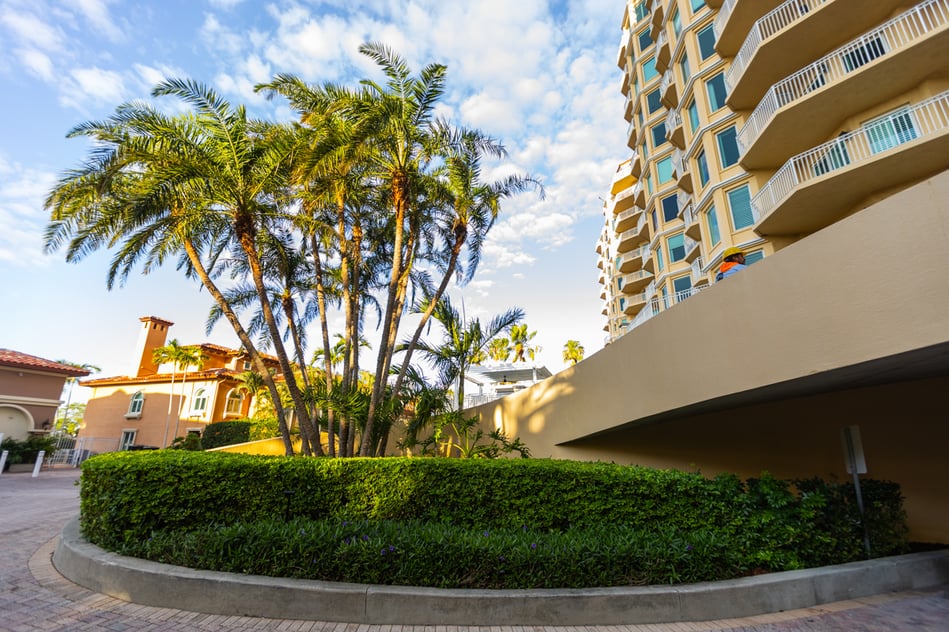 palm hedge bed driveway building hoa commercial