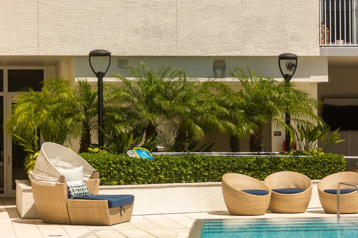 palms chairs seating poolside commercial