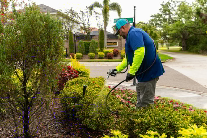 plant health care shrub spraying treatment crew