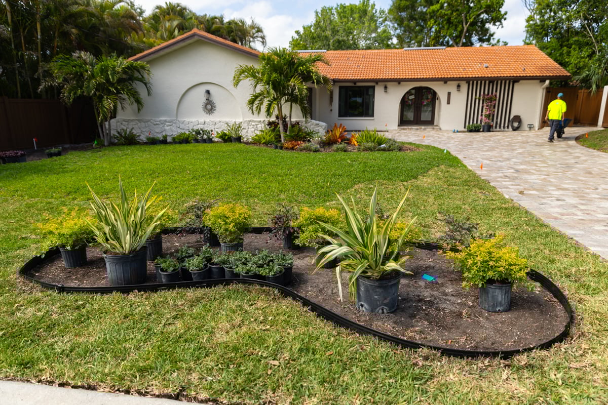 plant layout bed shrubs home