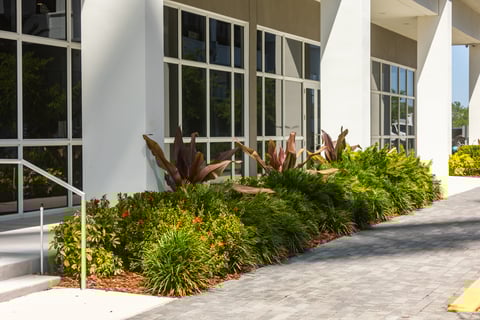 planting bed commercial flowers sidewalk maintenance