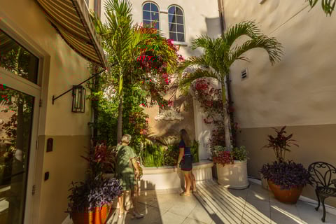 planting bed inspection account property manager commercial container pots flowers palms