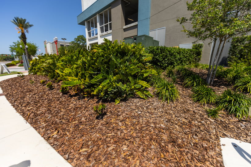plant bed with mulch