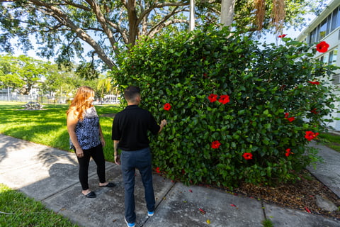 property manager account hedge vines flowers inspection site walk commercial 6