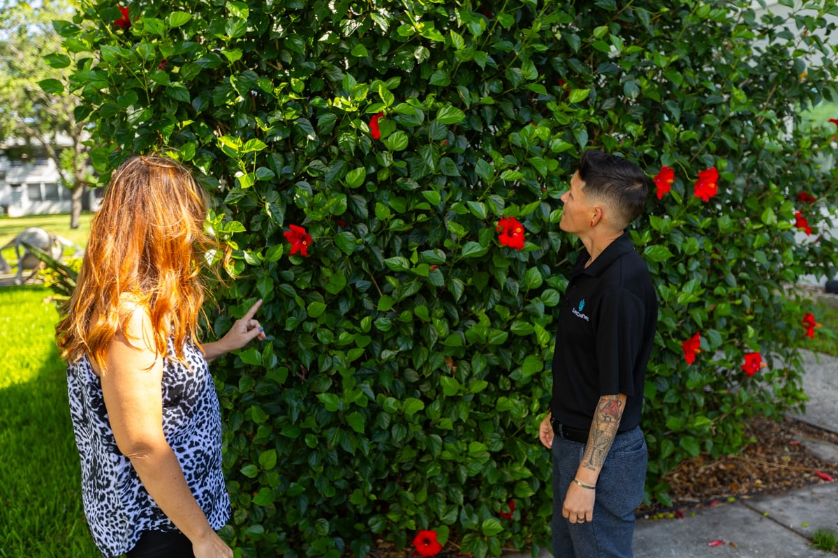 property manager account hedge vines flowers inspection site walk commercial
