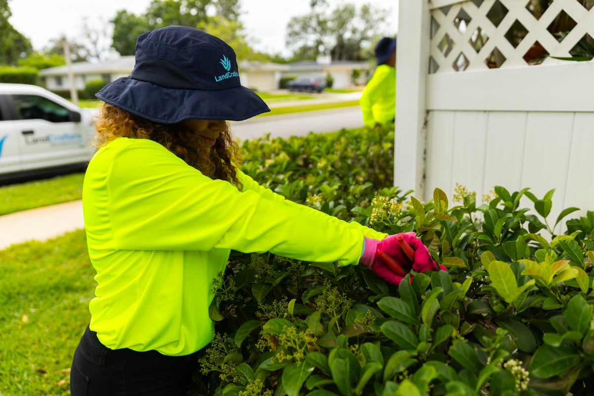 pruning crew maintenance shrub