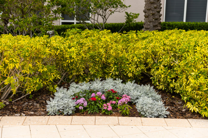 seasonal flower installation along walkway