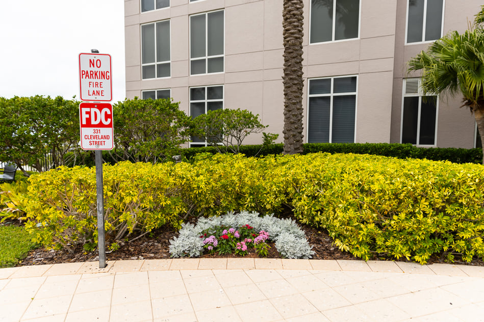 shrub planting bed flowers sidewalk building commercial