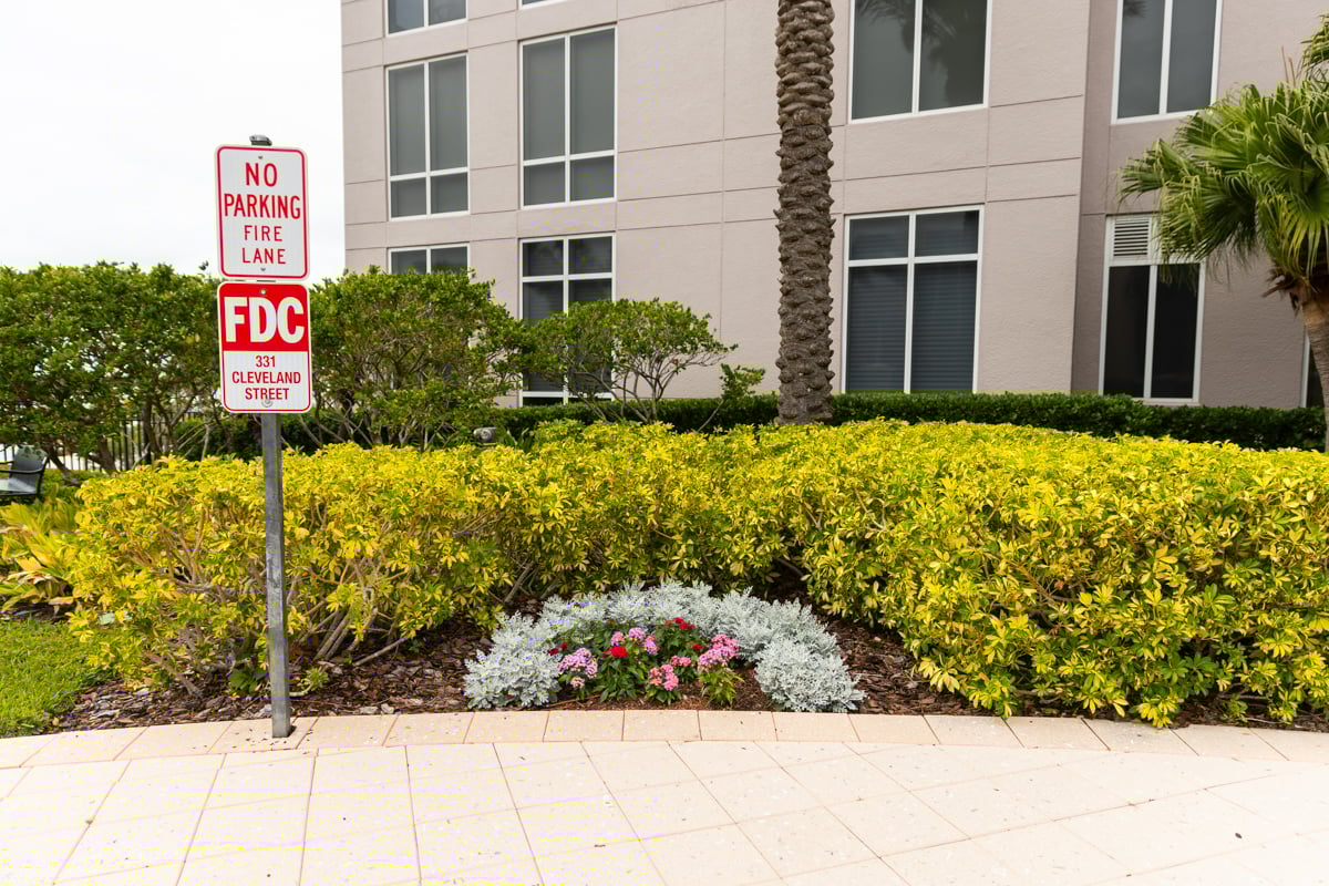 shrub planting bed flowers sidewalk building commercial