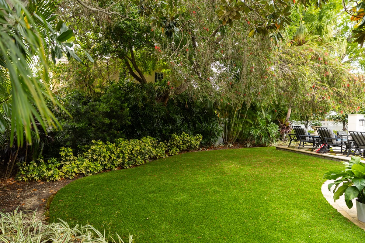 shrubs plant bed tree grass lawn mulch 2