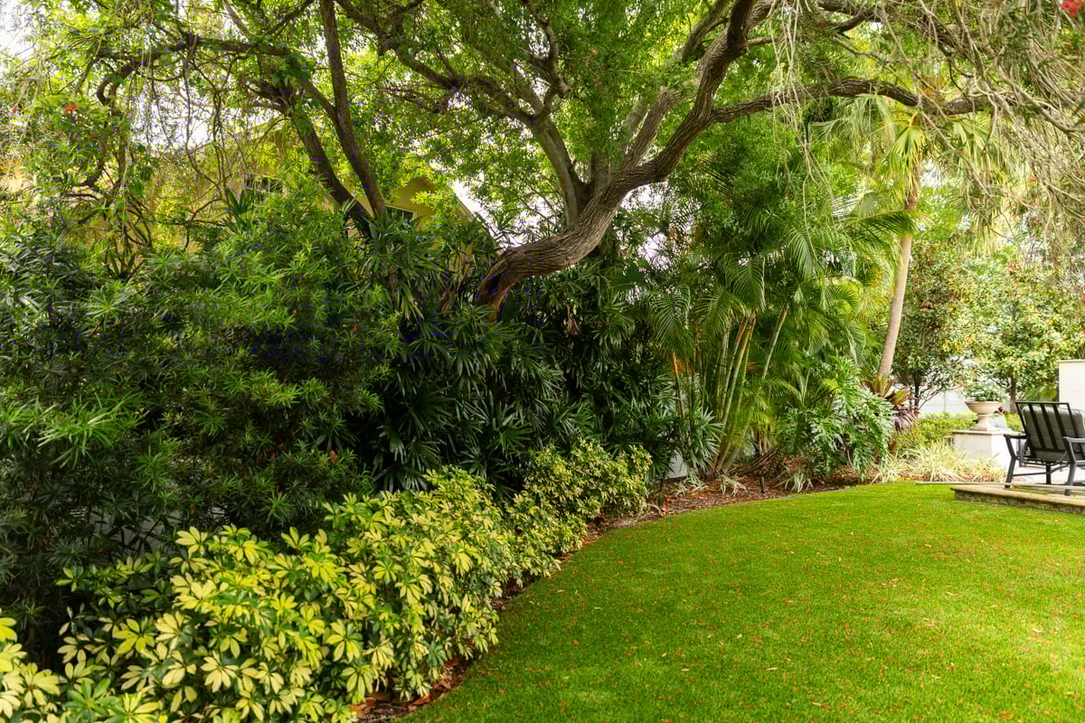 shrubs plant bed tree grass lawn mulch