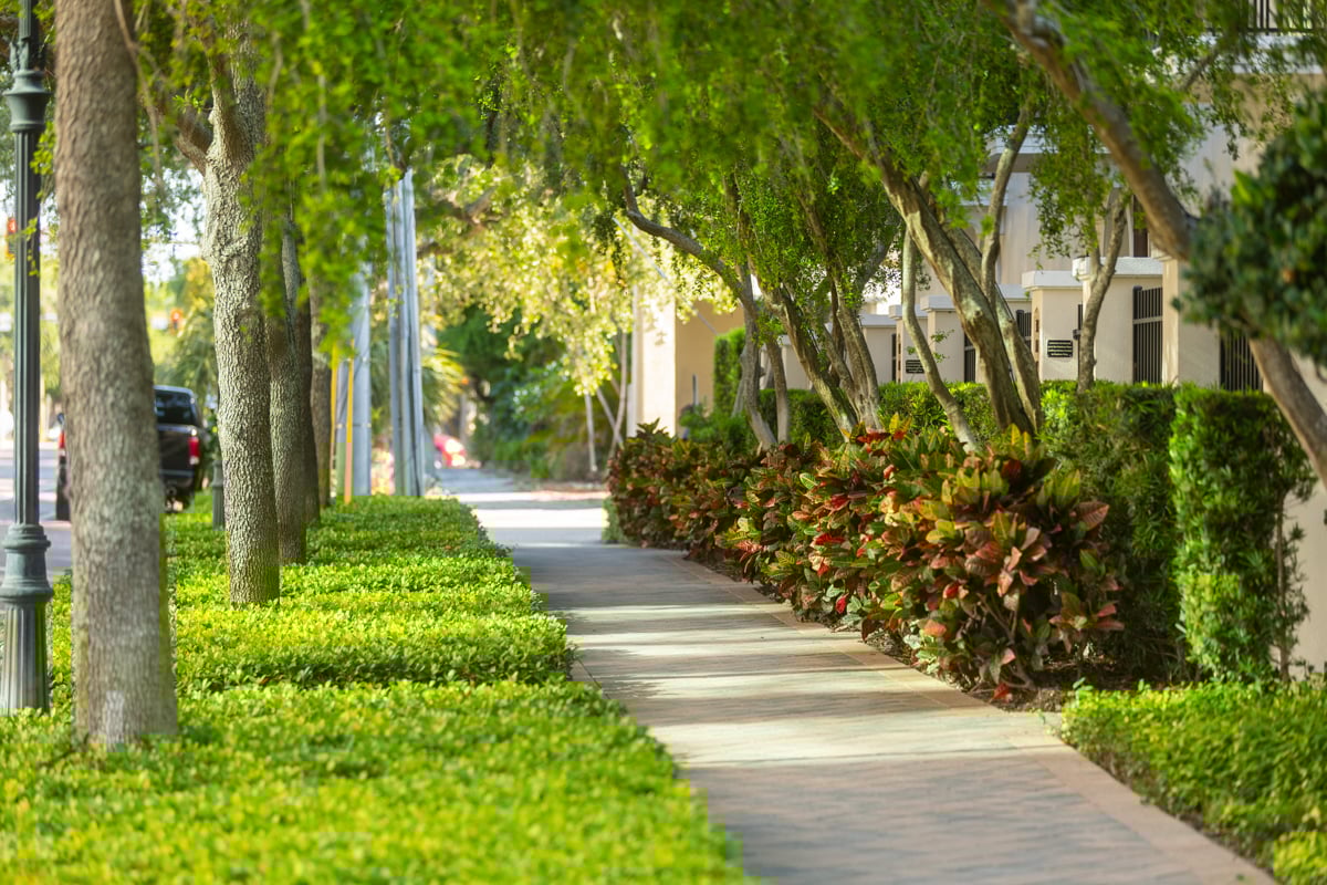 sidewalk commercial maintenance hoa nice shrubs trees