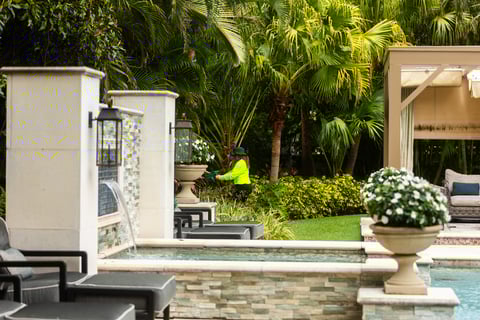 water feature in yard