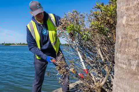 crew member pruning bush near water