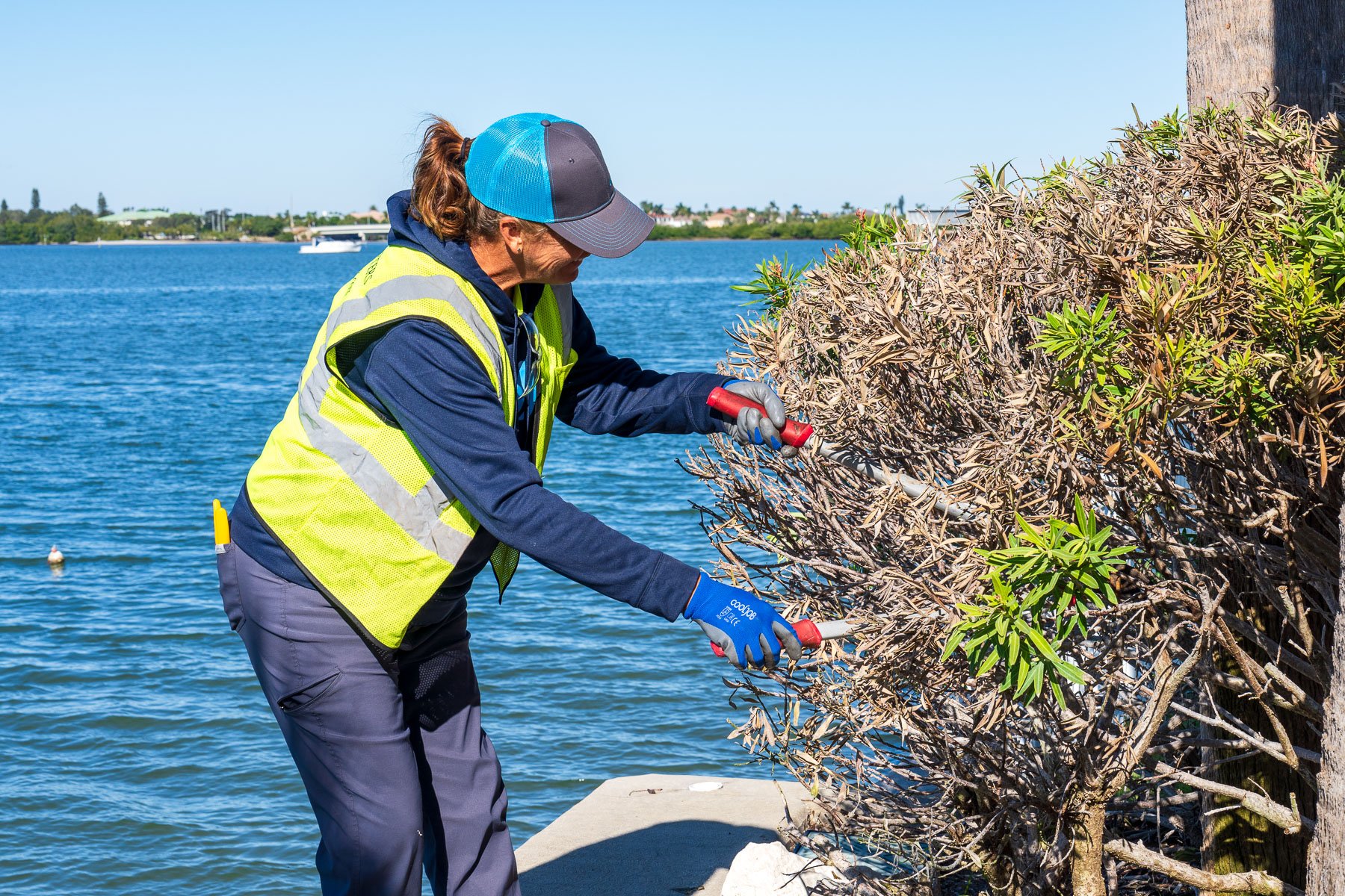 Crew member pruning bush next to water