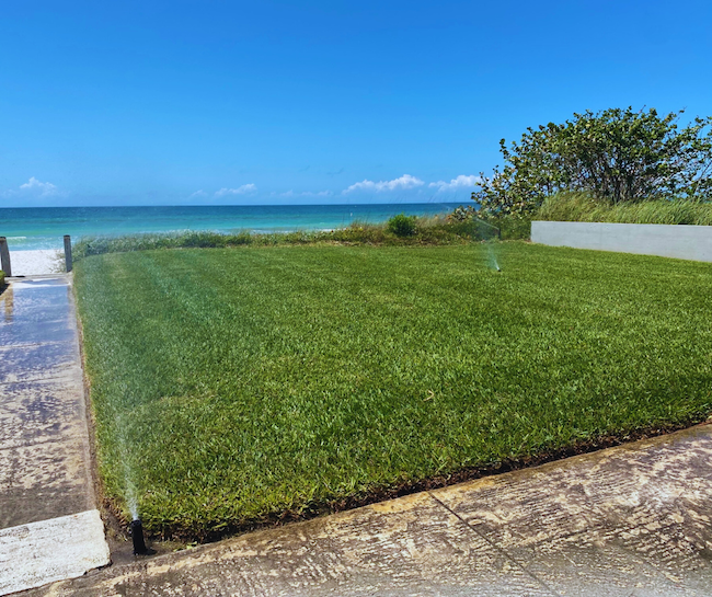 Sod beach along ocean being watered with irrigation