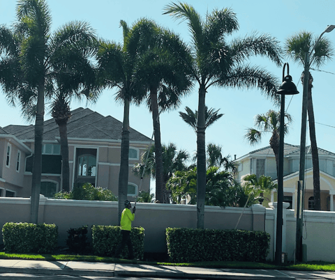 crew looking at palm trees