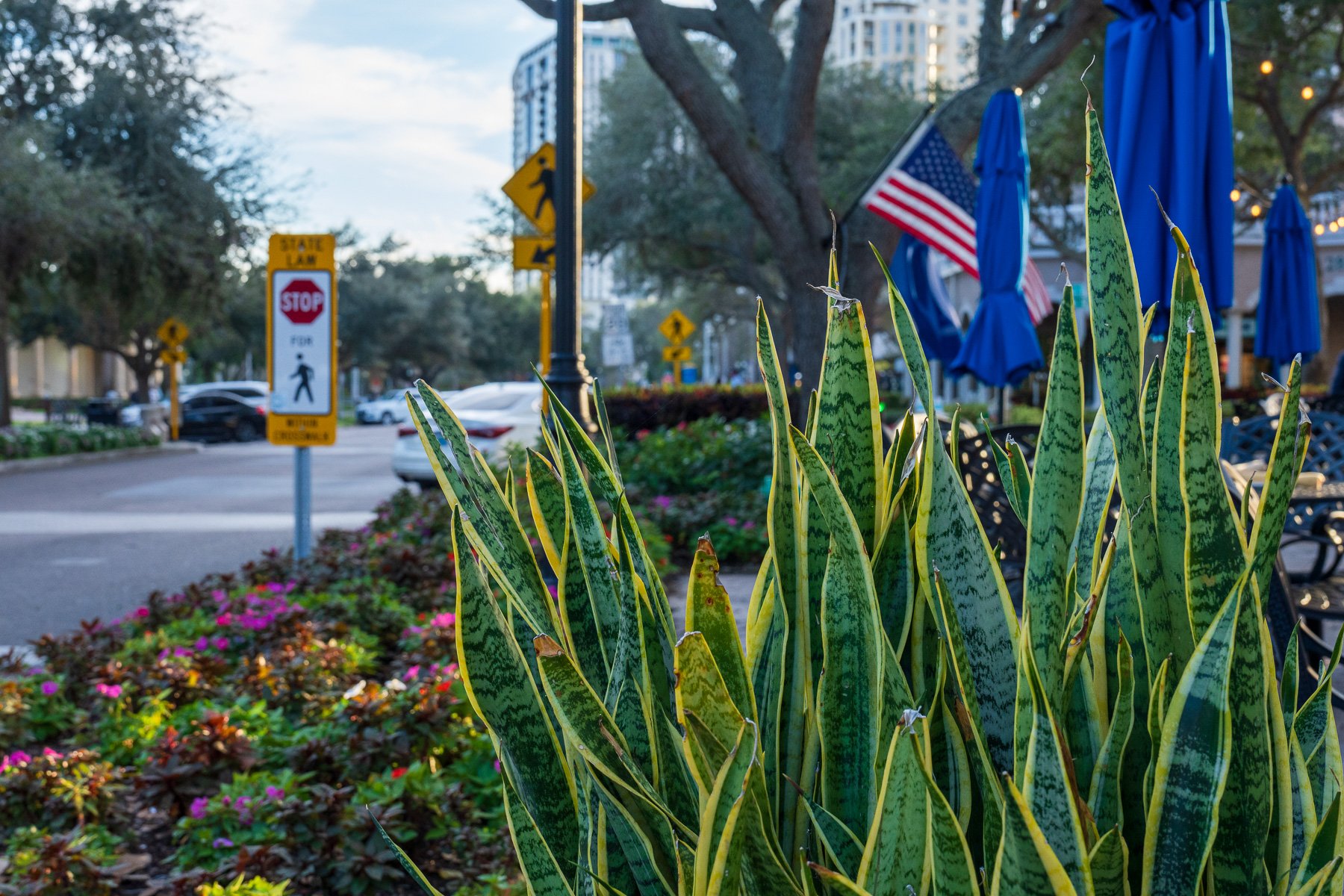 commercial common area landscape maintenance 