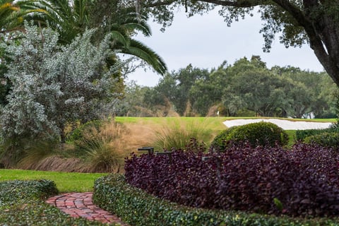 landscape beds backing up golf course 
