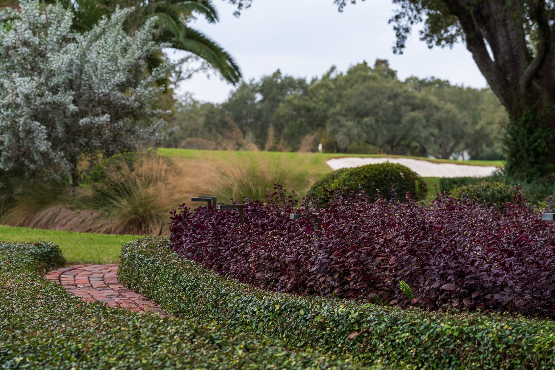 landscape beds backing up to golf course 1