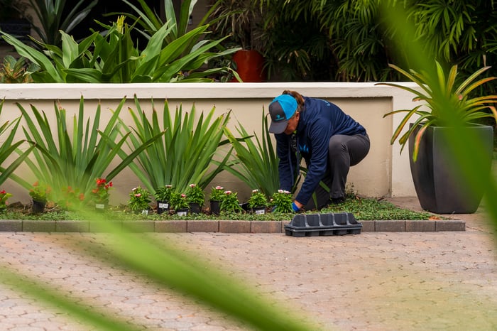 landscape crew member planting new annuals