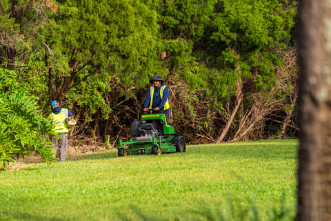 crew mowing lawn