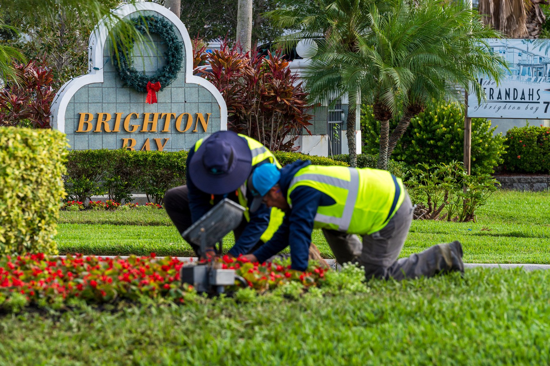 landscape crew planting flowers near entrance sign 