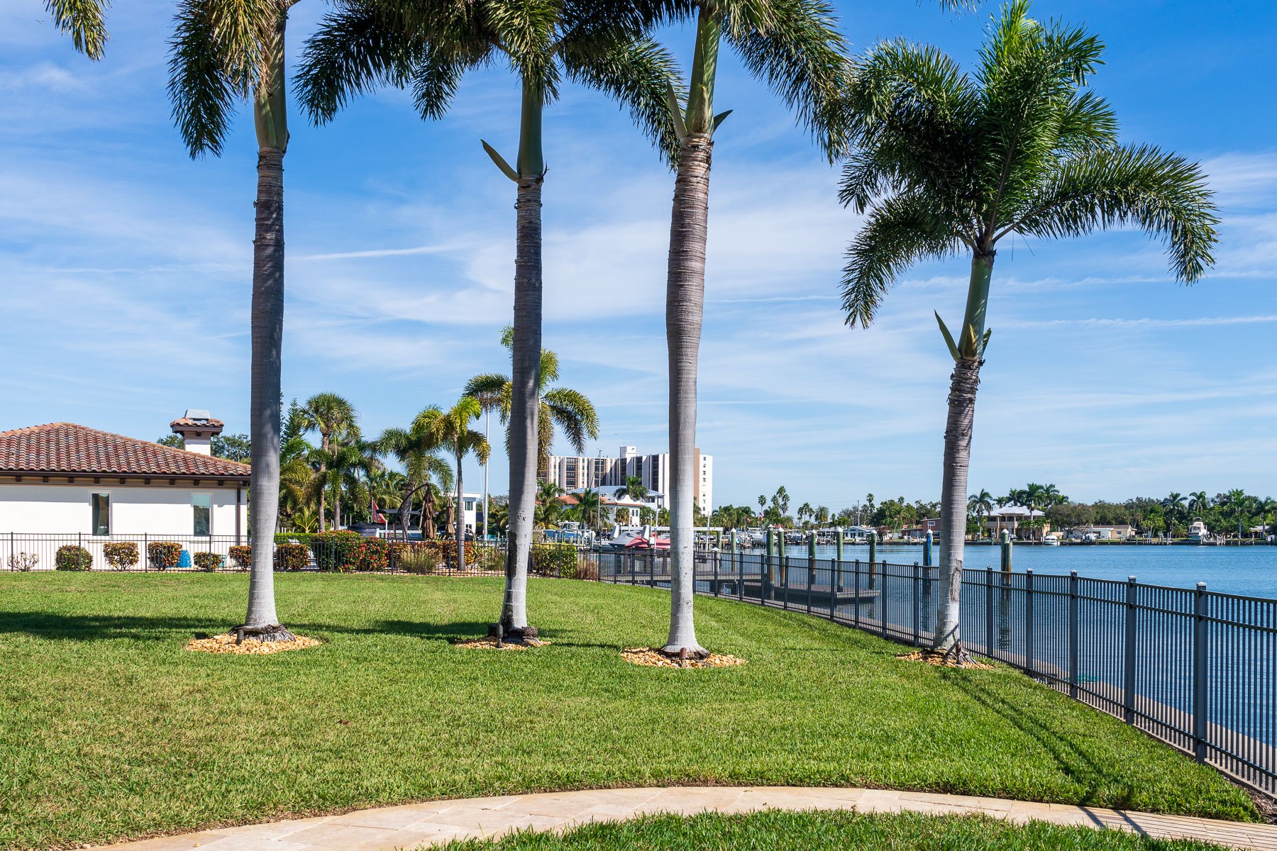 landscape maintenance near water with large palm trees