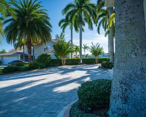 residential landscape mainteance garden beds 6