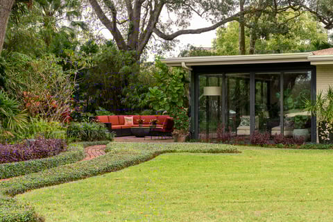 backyard tropical oasis green lawn