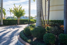 residential landscape maintenance near driveway