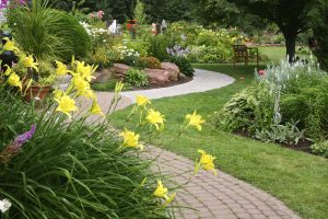 paver pathway surrounded by yellow flowers